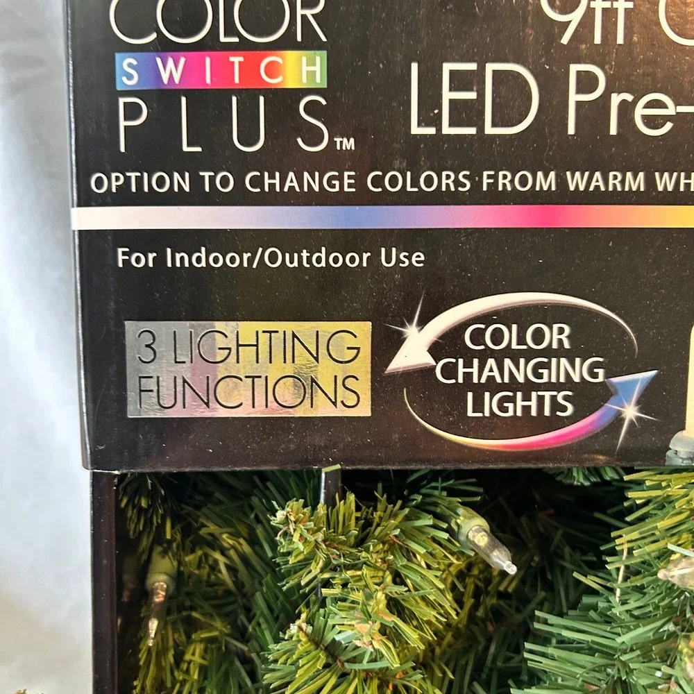 Color Switch Plus 9ft Cortland LED Pre-Lit Garland Color Changing Battery Timer